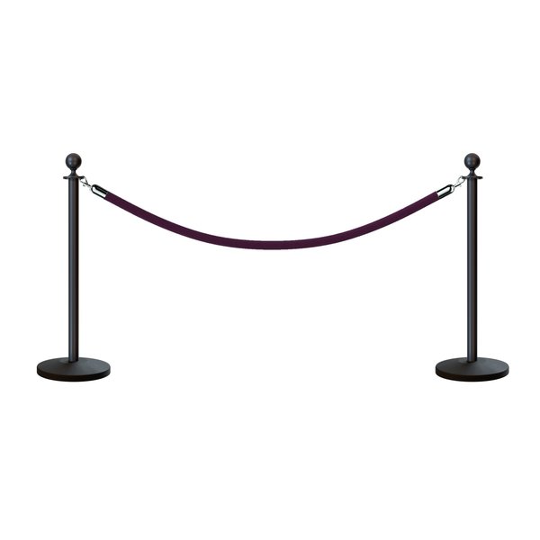 Montour Line Stanchion Post and Rope Kit Black, 2 Ball Top1 Purple Rope C-Kit-2-BK-BA-1-PVR-PE-PS